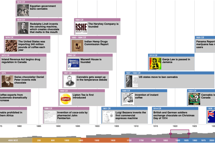 main timeline interface